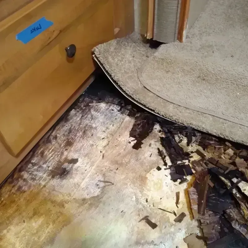 Wood Floor Water Damage in Apache County, AZ